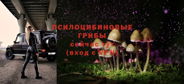 apvp Алексин