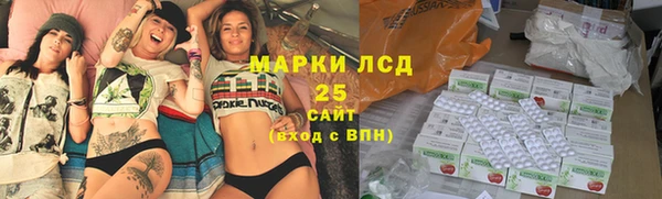 apvp Алексин