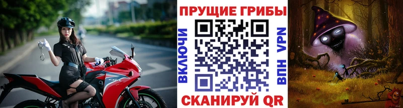 kraken зеркало  Железногорск-Илимский  Псилоцибиновые грибы Cubensis 